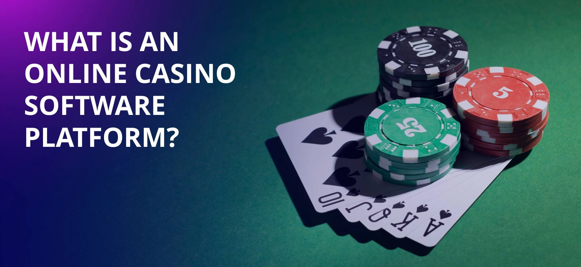 What is An Online Casino Software Platform?