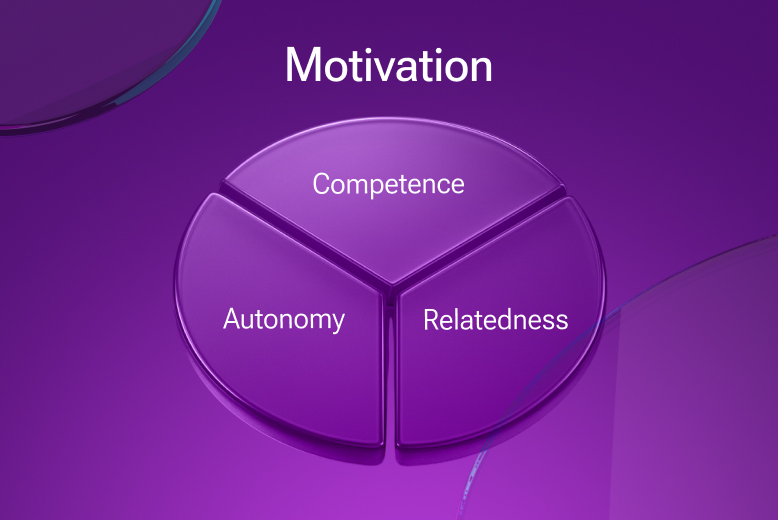 What drives motivation in poker room gamification. Self-Determination Theory