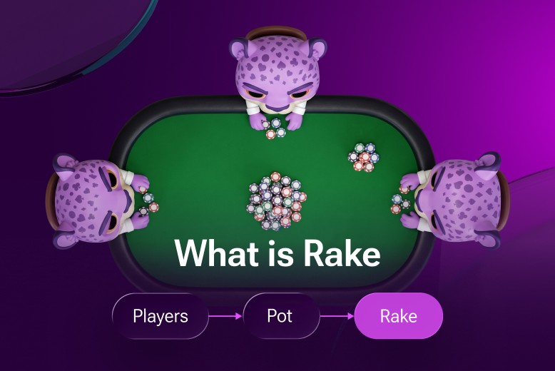 What is Poker Rake
