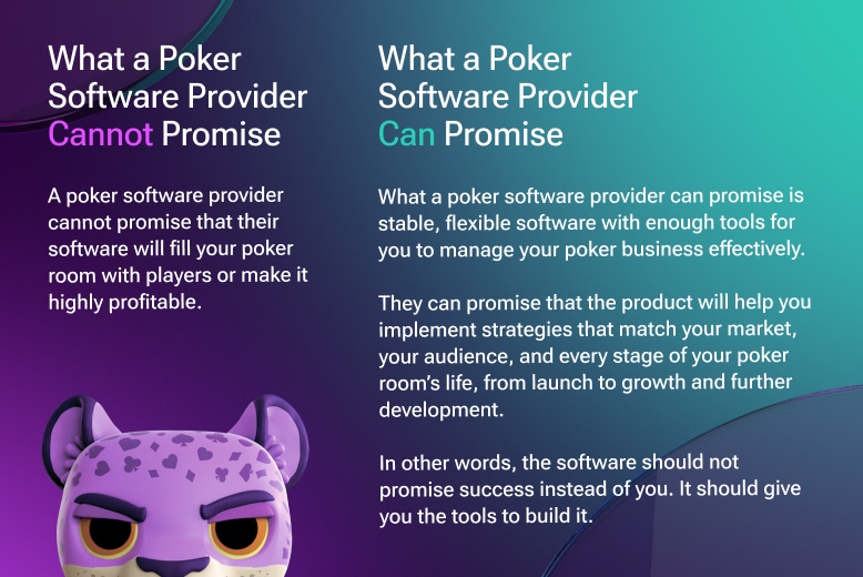 What a Poker Software Provider Can and Cannot Promise You. Infographic for the article about online poker features
